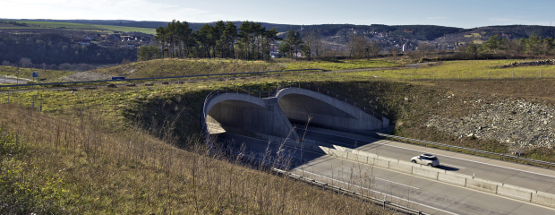 Grünbrücke über die Bundesautobahn A 71 Schweinfurt-Erfurt bei Münnerstadt, Landkreis Bad Kissingen, Unterfranken