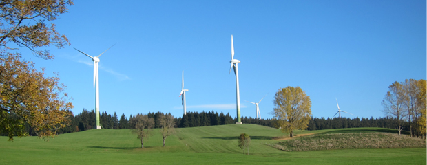 Windräder auf einer Wiese und im oder am Wald