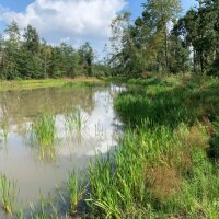 Sauweiher bei Bamberg Sauweiher bei Bamberg