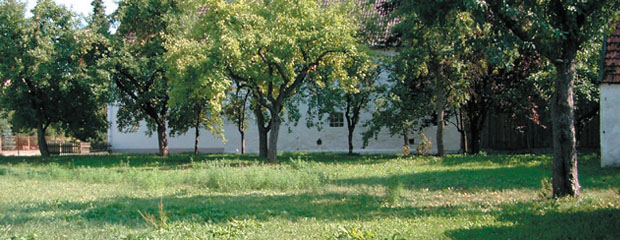Landwirtschaftlich genutzte hofnahe Wiesenfläche, Balzhausen Landwirtschaftlich genutzte hofnahe Wiesenfläche, Balzhausen