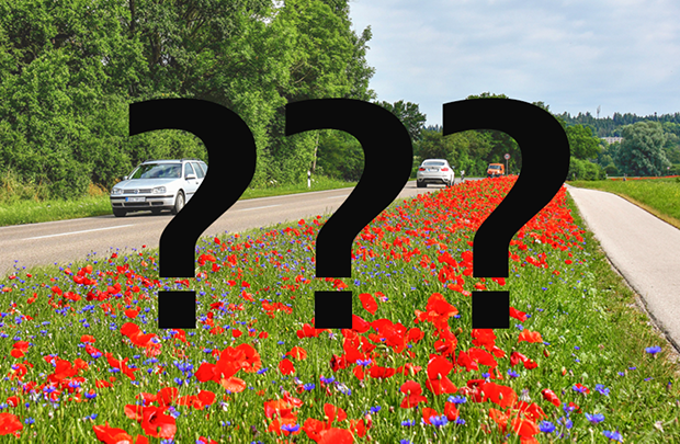 Ein Streifen mit blühenden Blumen. Links davon eine Straße mit Autos, rechts davon ein Radweg. Im Vordergrund drei fette Fragezeichen Ein Streifen mit blühenden Blumen. Links davon eine Straße mit Autos, rechts davon ein Radweg. Im Vordergrund drei fette Fragezeichen