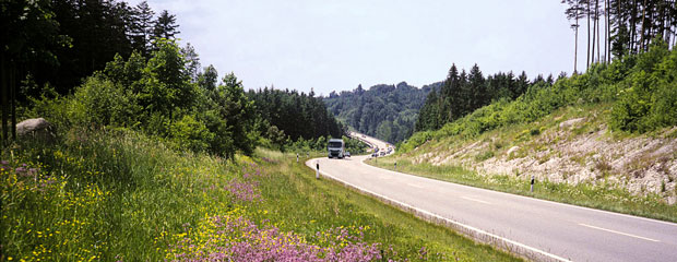 Magergrünland und Rohbodenstandorte im Extensivbereich des Straßenbegleitgrüns mit Anschluss an Gehölzbestände und Wälder wie hier an einer Bundesstraße eignen sich besonders gut zur ökologischen Aufwertung. Magergrünland und Rohbodenstandorte im Extensivbereich des Straßenbegleitgrüns mit Anschluss an Gehölzbestände und Wälder wie hier an einer Bundesstraße eignen sich besonders gut zur ökologischen Aufwertung.