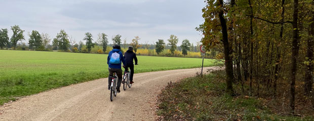 Ein Forstweg, auf dem zwei Radfahrer fahren Ein Forstweg, auf dem zwei Radfahrer fahren
