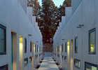 Studentenbungalows im Olympischen Dorf in München, Gasse mit Fernsehturm